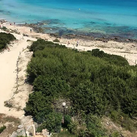 شقة Family Sun Seasight كالا مييور